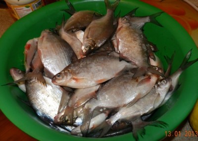 DSCN6101.JPG
