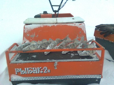 Начало рыбалки
