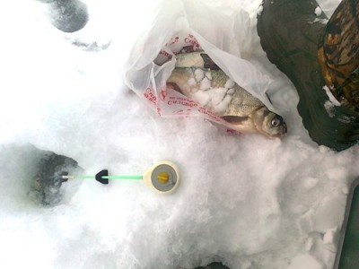 21.01. казанка 2012.jpg
