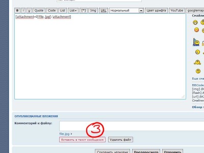file1.jpg