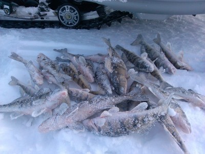 IMG_20130201_132052.jpg