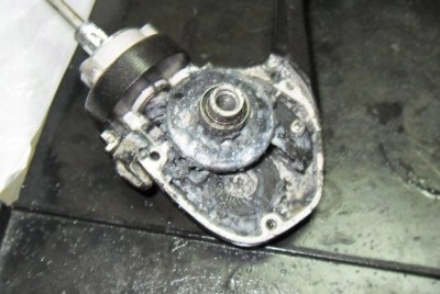SDC11029.JPG