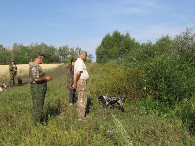 Подача в руки с воды.JPG