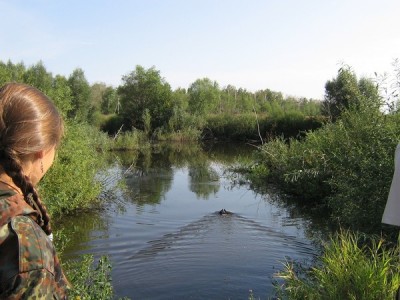 Подача с воды.JPG