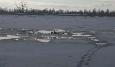полынья.jpg