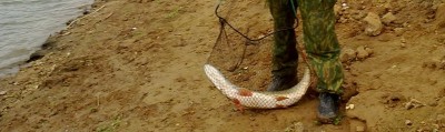 23092010013.jpg