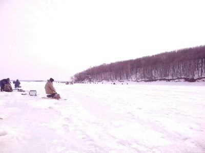 IMG_20130323_133833.jpg