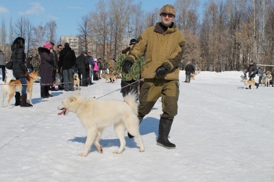 IMG_0384.JPG