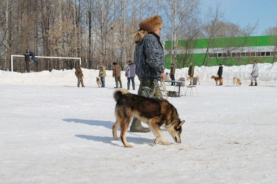 IMG_0429.JPG