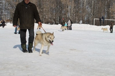 IMG_0431.JPG