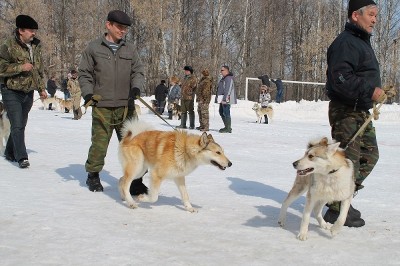 IMG_0439.JPG