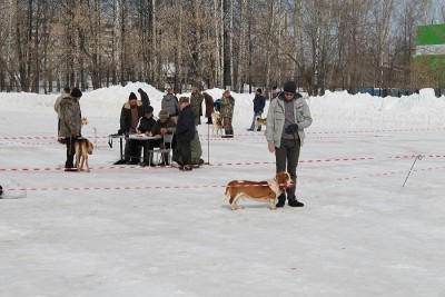IMG_0480.JPG