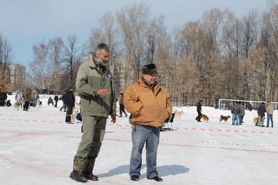 судьи