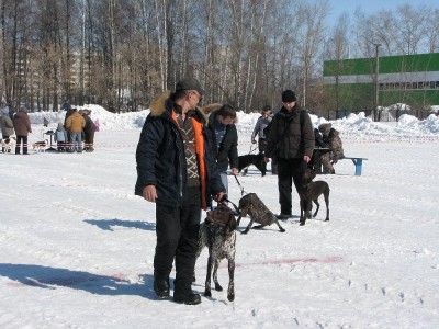 IMG_4566.JPG