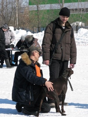 IMG_4574.JPG