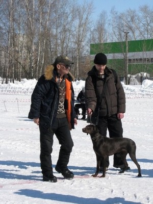 IMG_4575.JPG