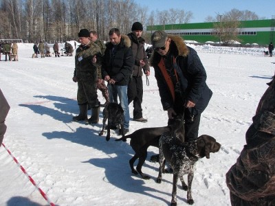 IMG_4577.JPG