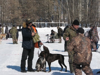 IMG_4591.JPG