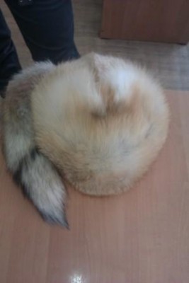 IMAG0457.jpg