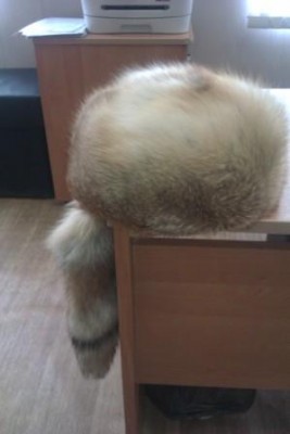 IMAG0456.jpg