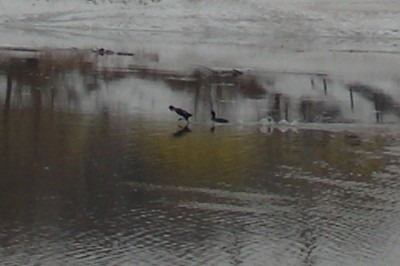 DSCN6028.JPG