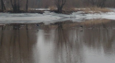 DSCN6030.JPG