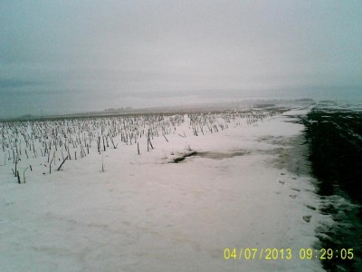 PIC_0069.JPG