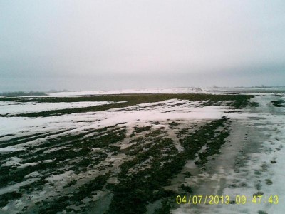 PIC_0070.JPG
