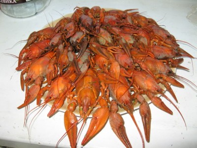 Каратаевские раки.