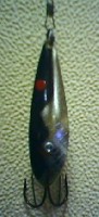 IMAGE_025.jpg