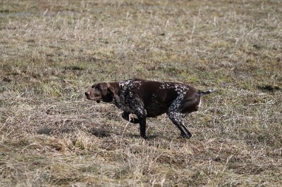IMG_0445.JPG