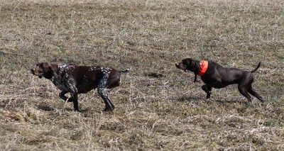 IMG_0464.JPG