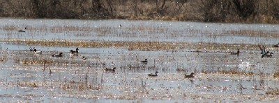 IMG_0336.JPG