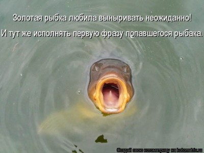 1257525818_kotomatrix244.jpg