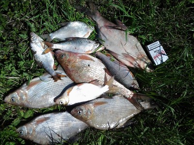 20130518_4.jpg