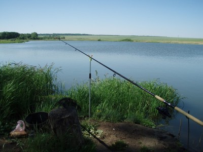 P6020500.jpg