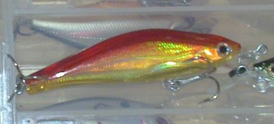 Yo-Zuri, 3D Minnow F621.jpg