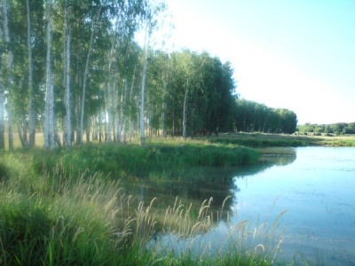 DSC00540.JPG