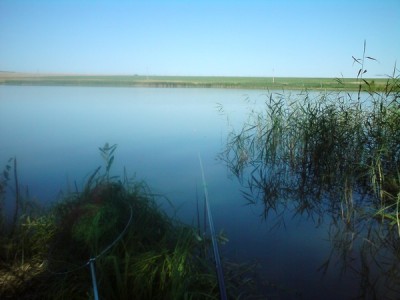 DSC00539.JPG