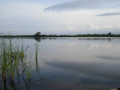 DSC00003.JPG
