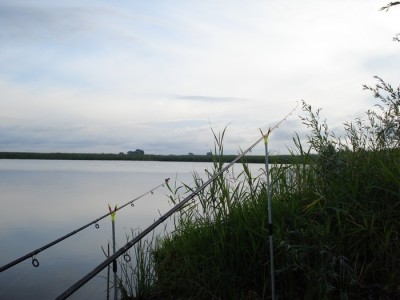 DSC00002.JPG