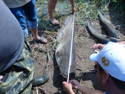 acbec4621f8f.jpg