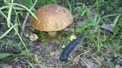 2013-08-01_18-21-33_226.jpg
