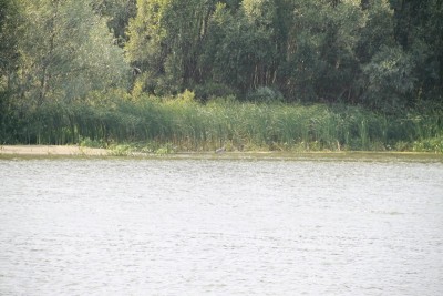 Конкурент. У него своя рыбалка.