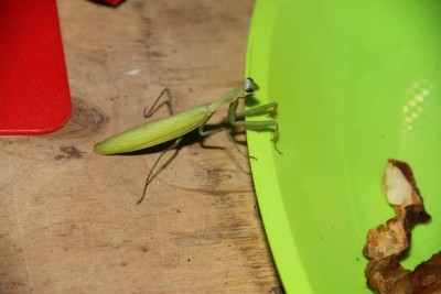 IMG_6544.JPG