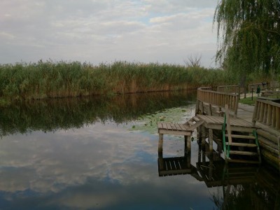 DSC_0121_s.JPG