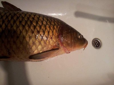 20130821_213740.jpg