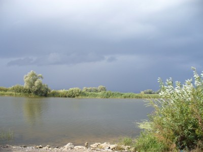 P1050089.2.JPG