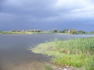 P1050091.2.JPG