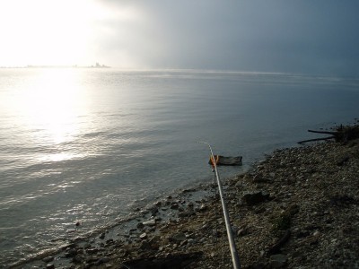 P9080756.jpg